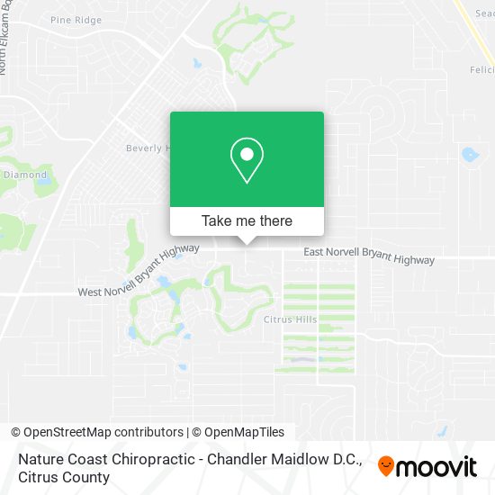 Nature Coast Chiropractic - Chandler Maidlow D.C. map