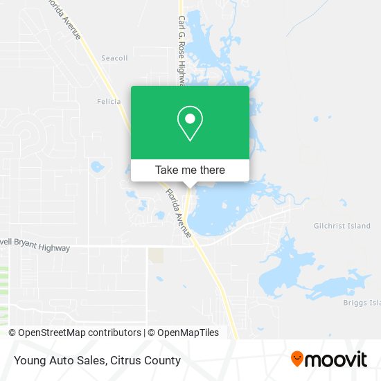 Young Auto Sales map