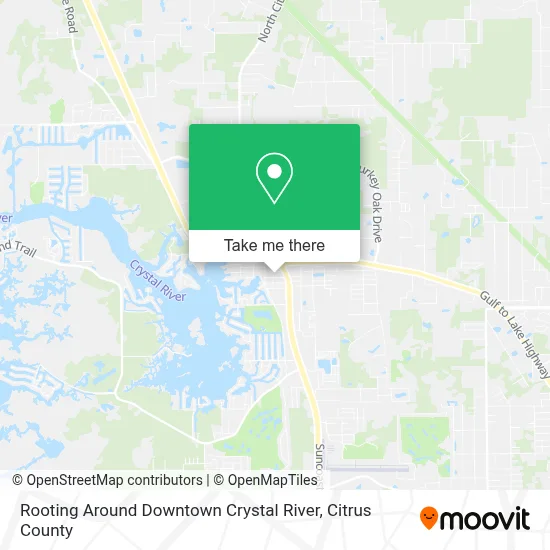 Rooting Around Downtown Crystal River map