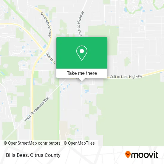 Bills Bees map
