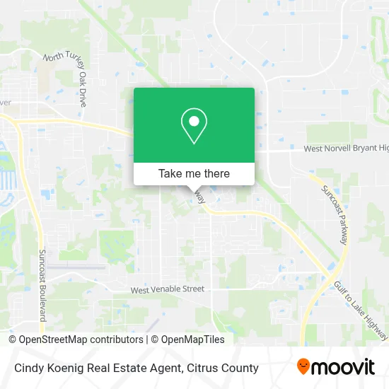 Cindy Koenig Real Estate Agent map