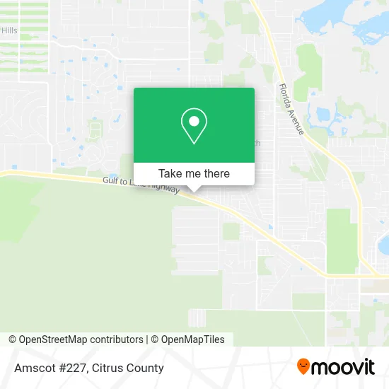 Amscot #227 map