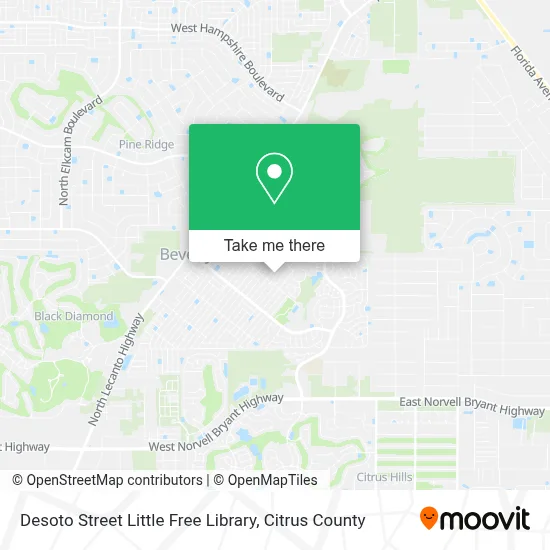 Desoto Street Little Free Library map