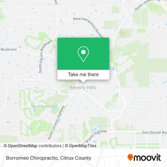 Borromeo Chiropractic map