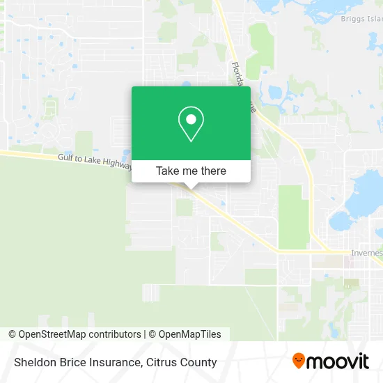 Sheldon Brice Insurance map