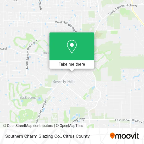 Southern Charm Glazing Co. map