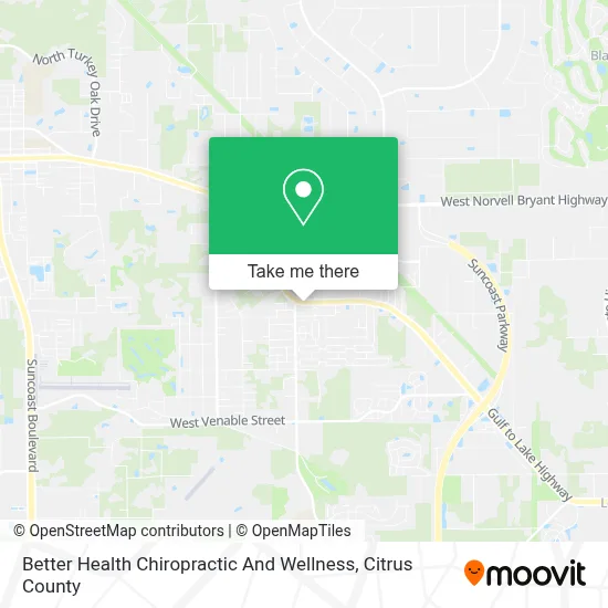Better Health Chiropractic And Wellness map