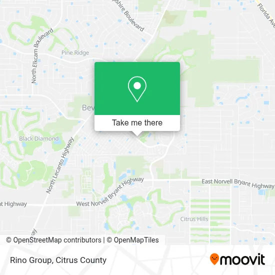 Rino Group map