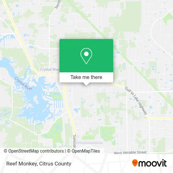 Reef Monkey map