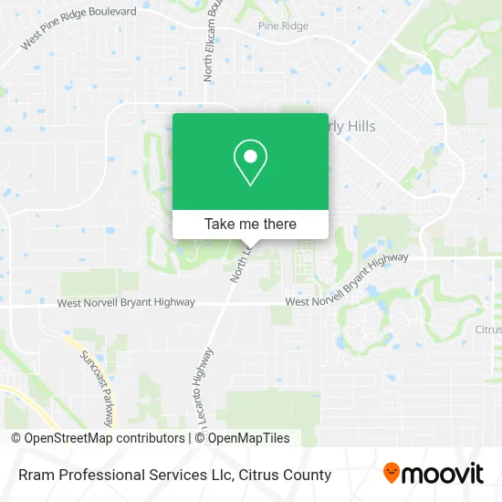 Rram Professional Services Llc map