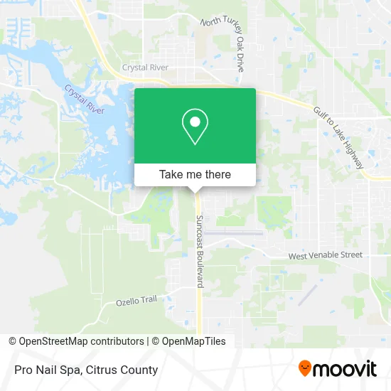 Pro Nail Spa map