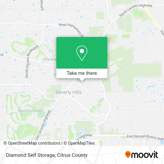 Diamond Self Storage map