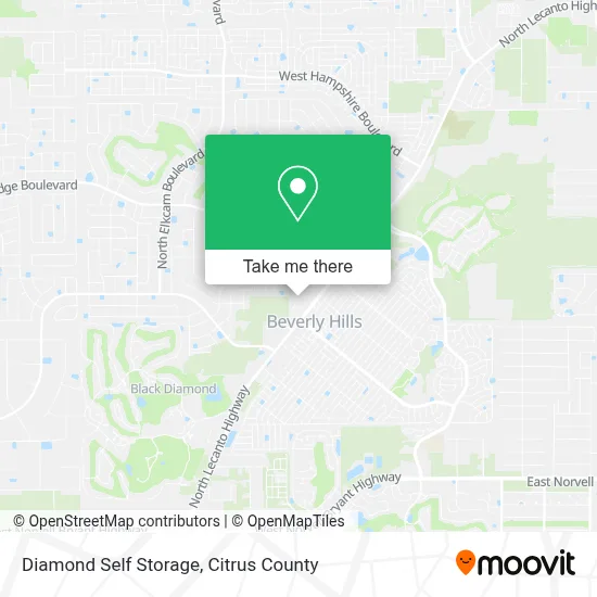 Diamond Self Storage map