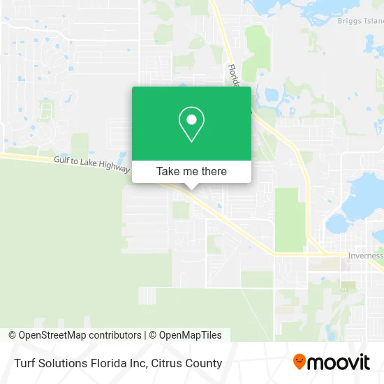 Turf Solutions Florida Inc map