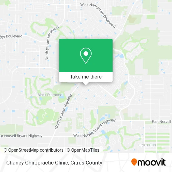 Chaney Chiropractic Clinic map
