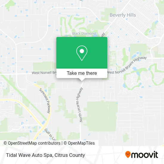 Tidal Wave Auto Spa map