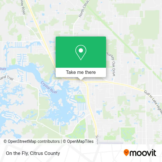 On the Fly map