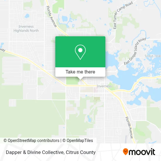 Dapper & Divine Collective map