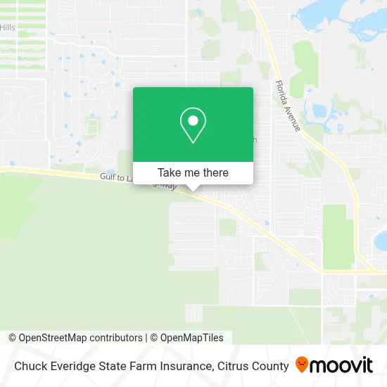 Chuck Everidge State Farm Insurance map