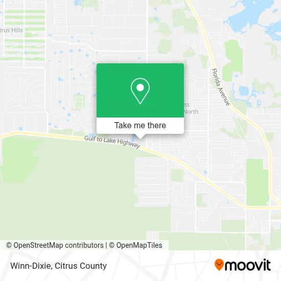 Winn-Dixie map