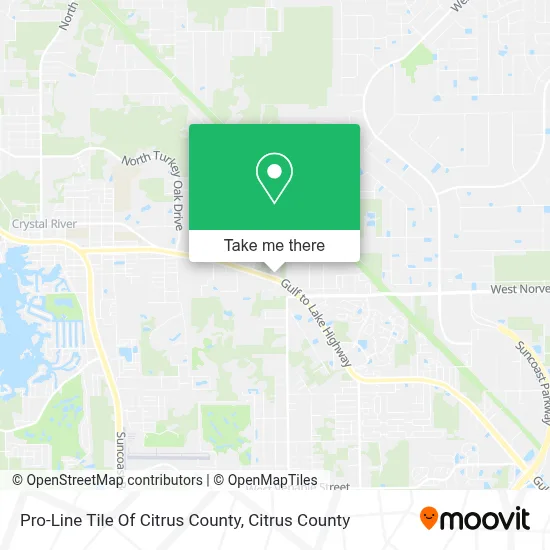 Pro-Line Tile Of Citrus County map