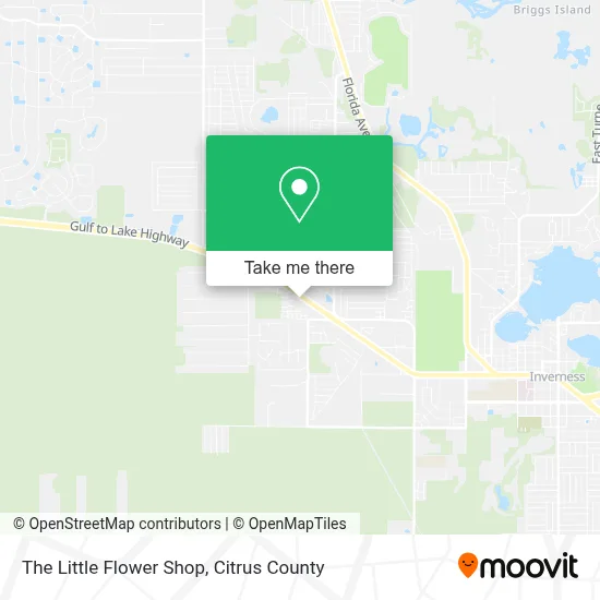 The Little Flower Shop map