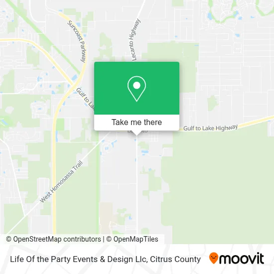 Life Of the Party Events & Design Llc map