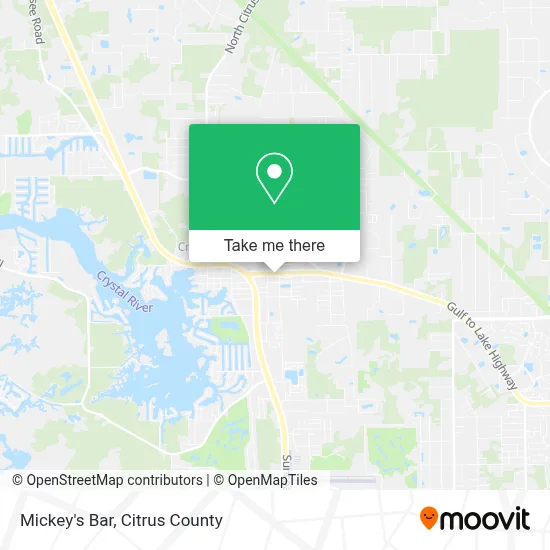 Mickey's Bar map