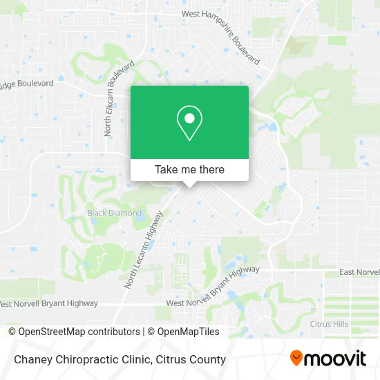 Chaney Chiropractic Clinic map
