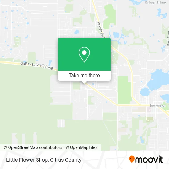 Little Flower Shop map