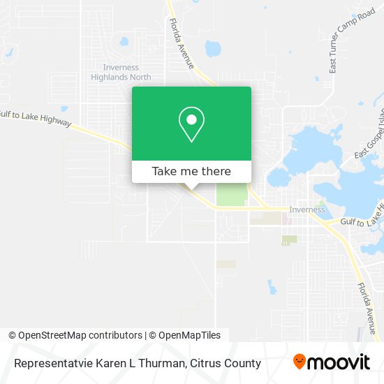 Representatvie Karen L Thurman map