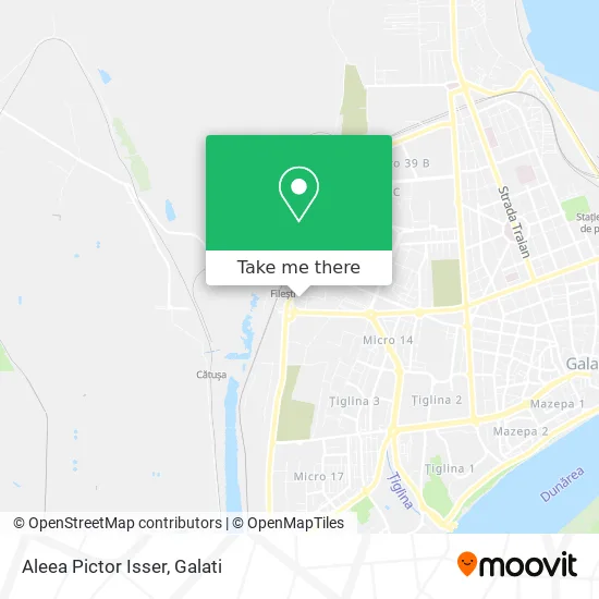 Aleea Pictor Isser map