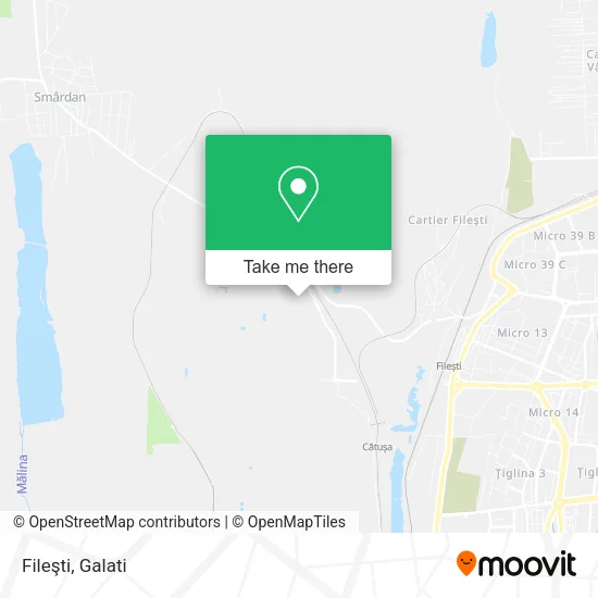 Fileşti map