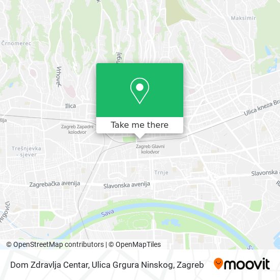 Dom Zdravlja Centar, Ulica Grgura Ninskog map