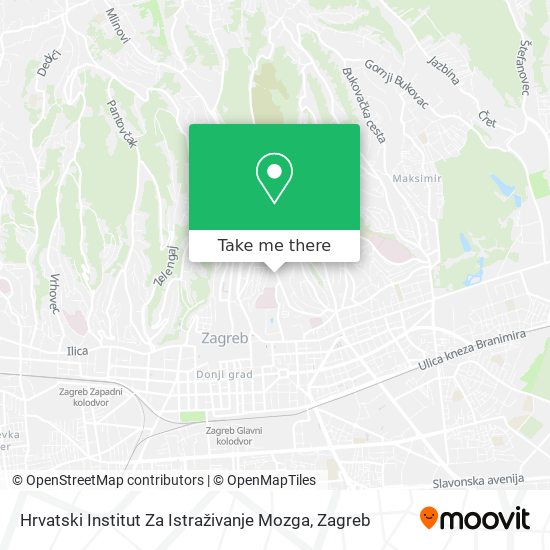 Hrvatski Institut Za Istraživanje Mozga map