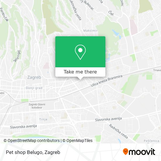 Pet shop Belugo map