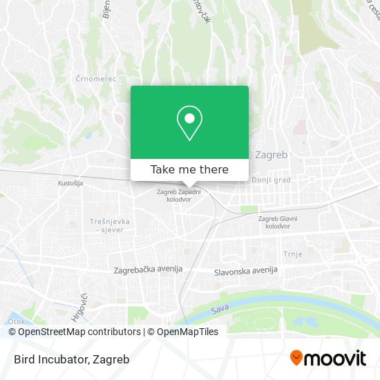 Bird Incubator map