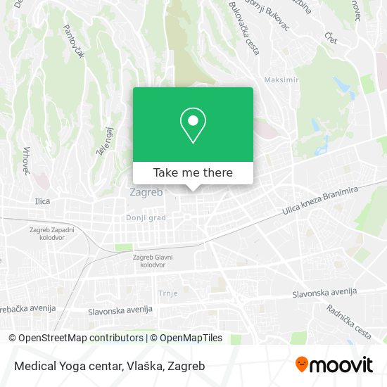Medical Yoga centar, Vlaška map
