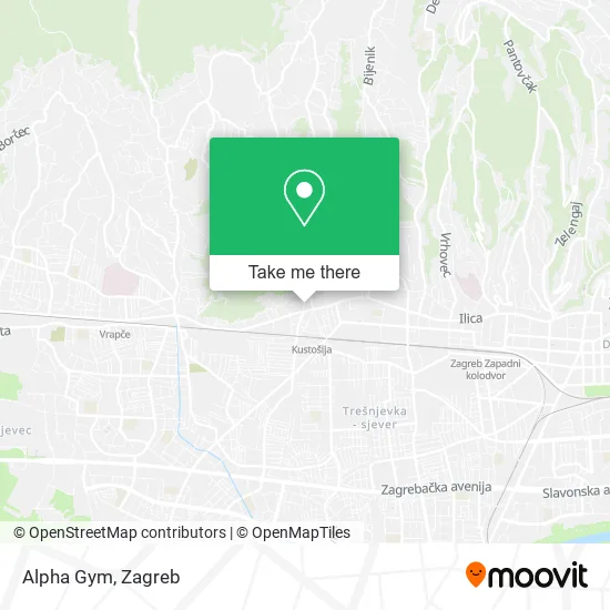 Alpha Gym map