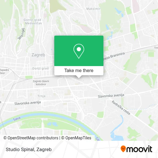 Studio Spinal map