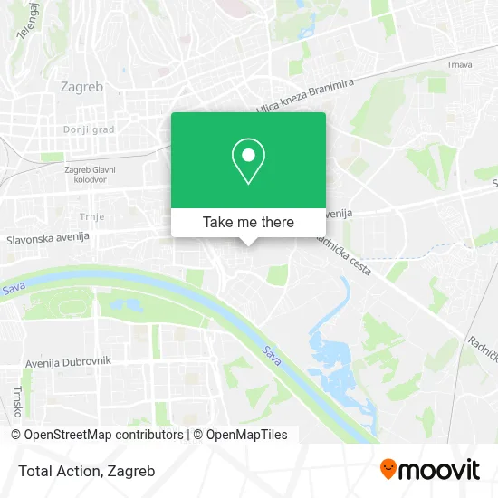 Total Action map