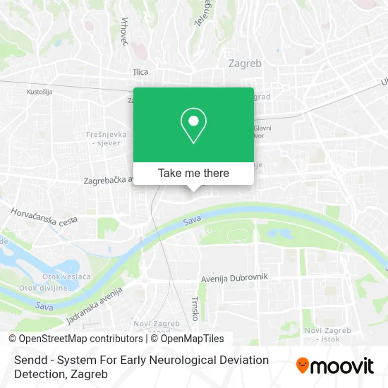 Sendd - System For Early Neurological Deviation Detection map