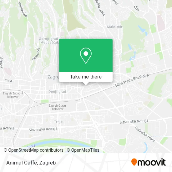 Animal Caffe map