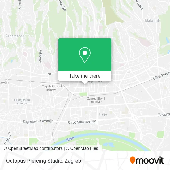 Octopus Piercing Studio map