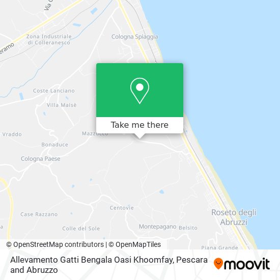 Allevamento Gatti Bengala Oasi Khoomfay map