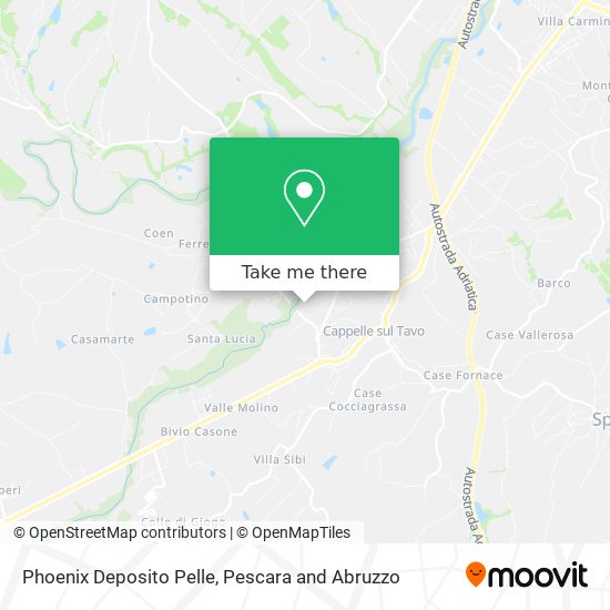 Phoenix Deposito Pelle map