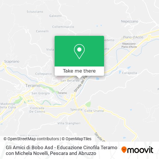 Gli Amici di Bobo Asd - Educazione Cinofila Teramo con Michela Novelli map