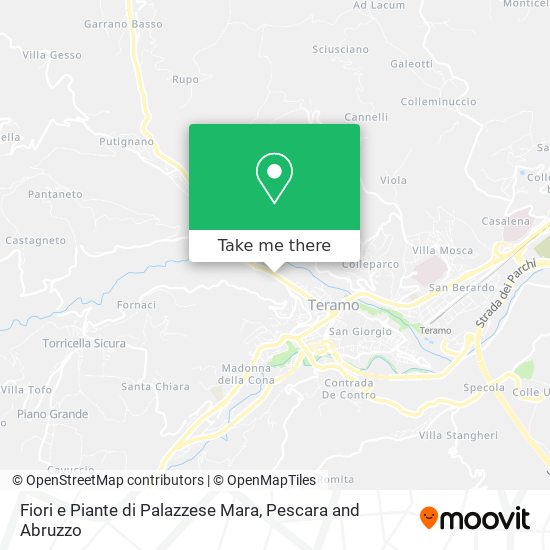 Fiori e Piante di Palazzese Mara map
