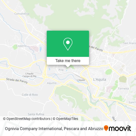 Ognivia Company International map