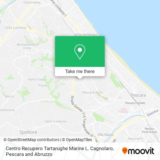 Centro Recupero Tartarughe Marine L. Cagnolaro map
